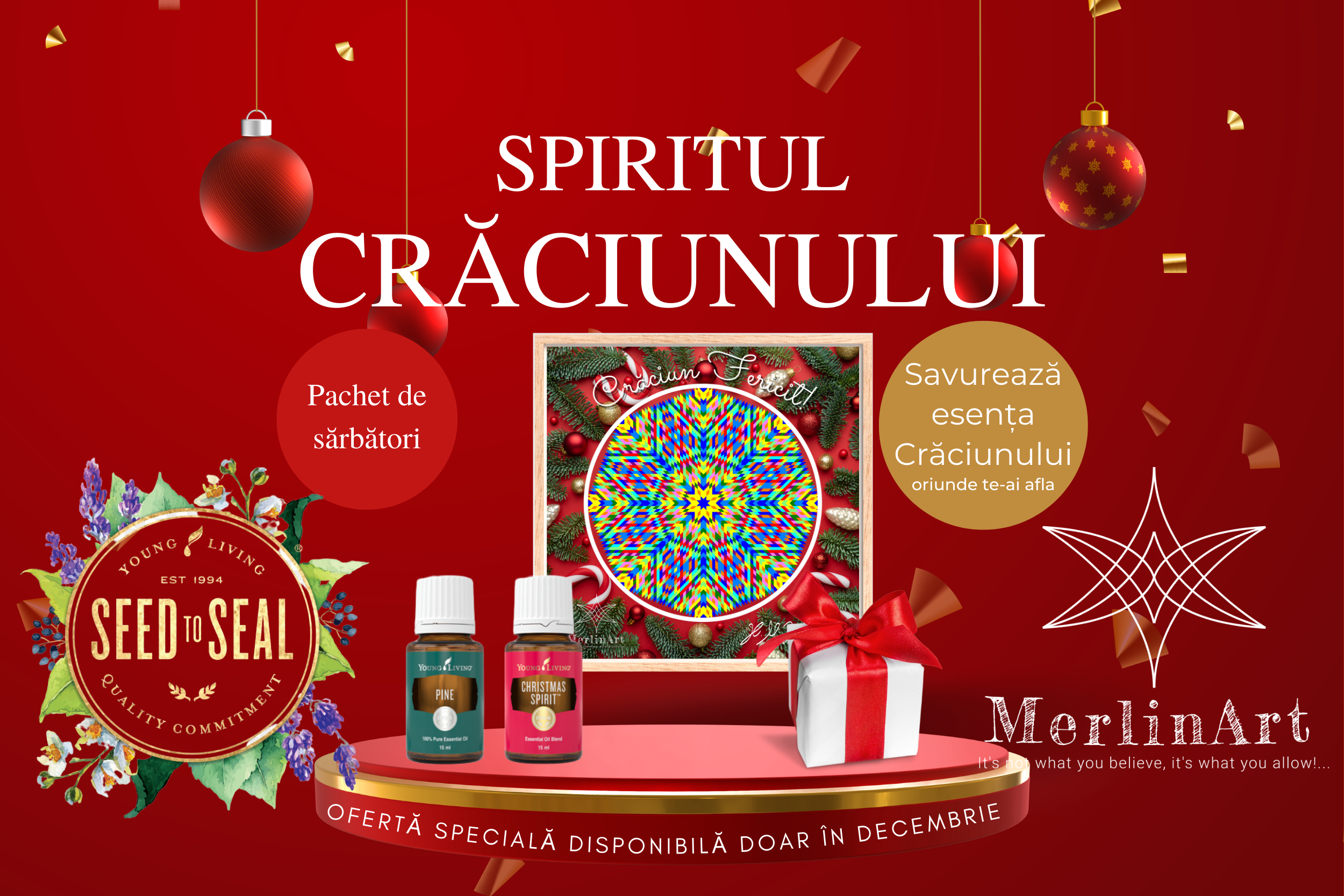 Spiritul Craciunului pachet cadou by MerlinAst și .M. Iulia Ioana